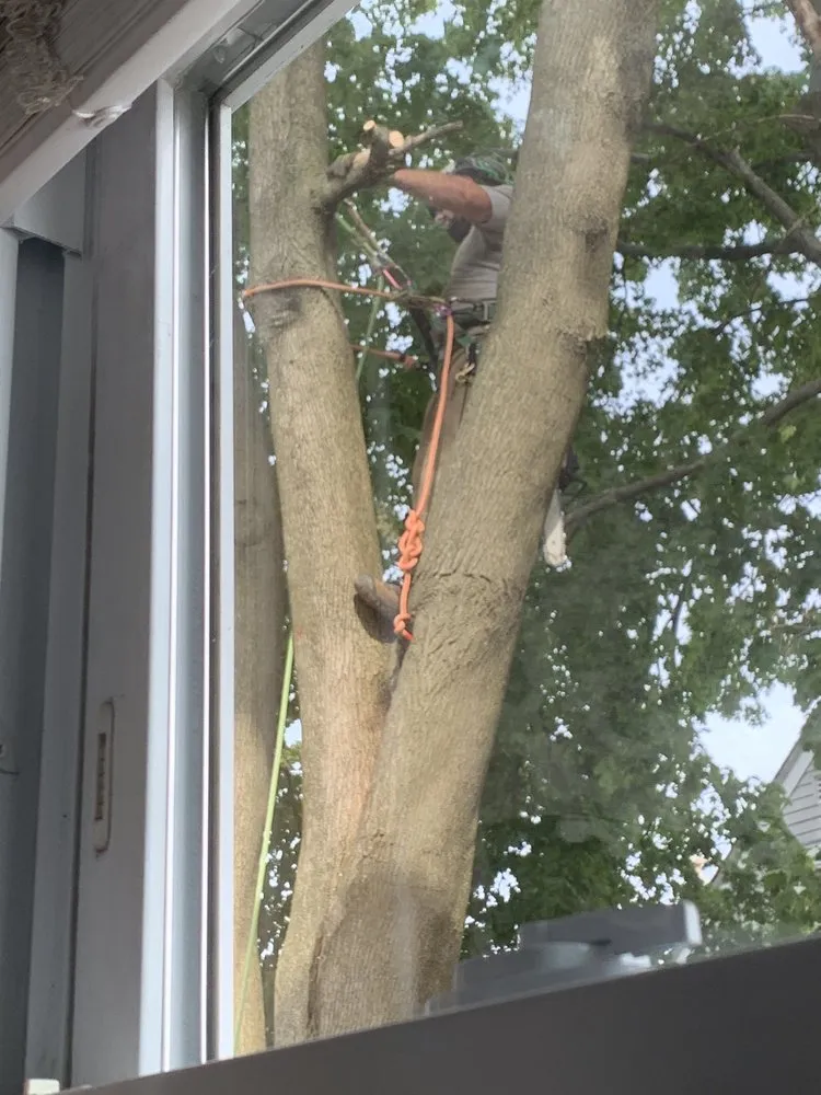 Expert landscape installation in Coventry, RI by Schwartz Tree Care & Landscaping