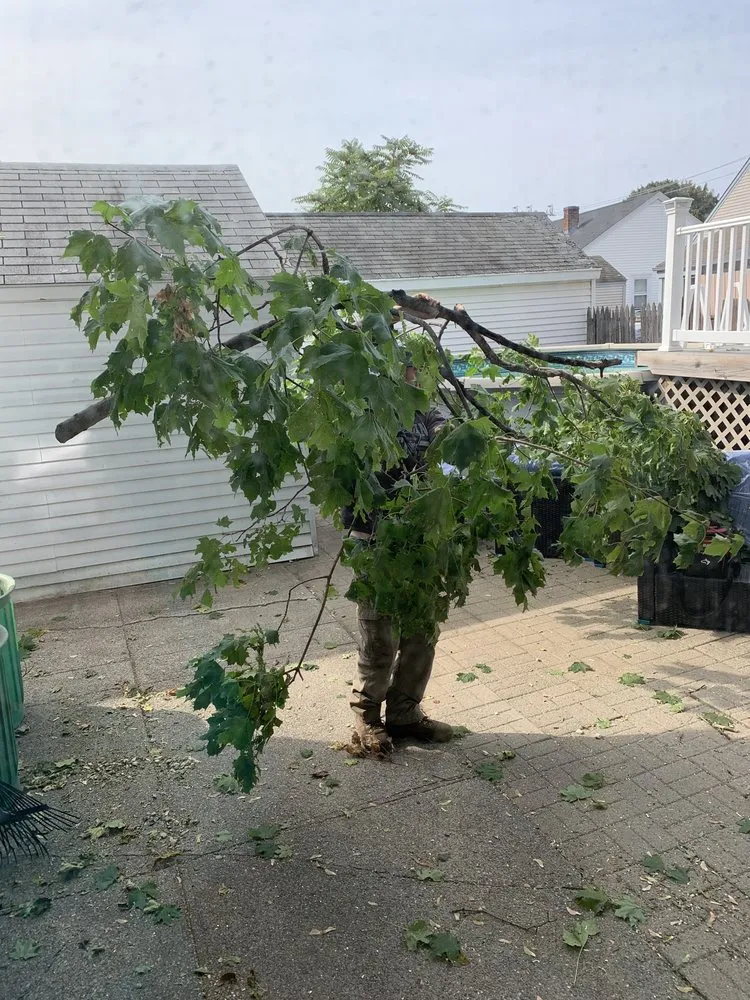 Trusted lawn care service in Coventry, RI - Schwartz Tree Care & Landscaping