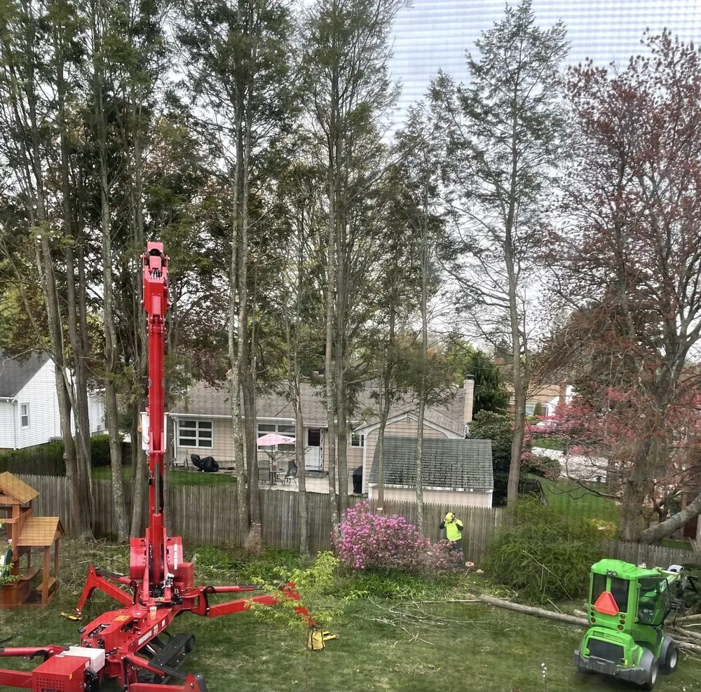 Trusted landscaping services for beautiful yards across Coventry, RI - Schwartz Tree Care & Landscaping