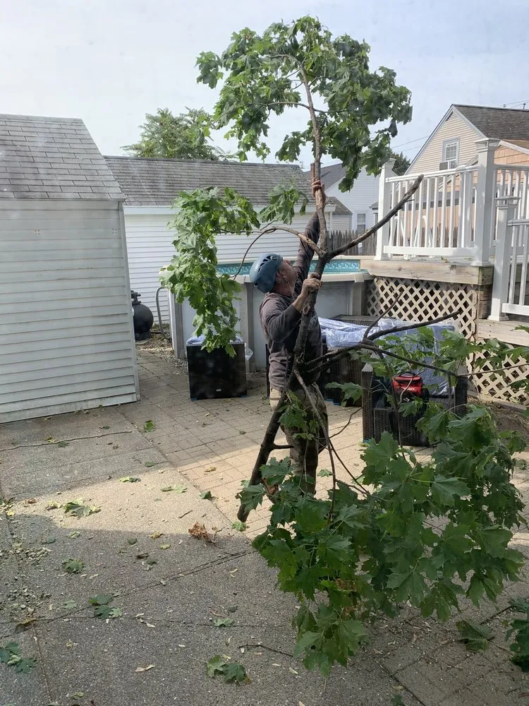 Top-rated landscaping services in Coventry, RI by Schwartz Tree Care & Landscaping