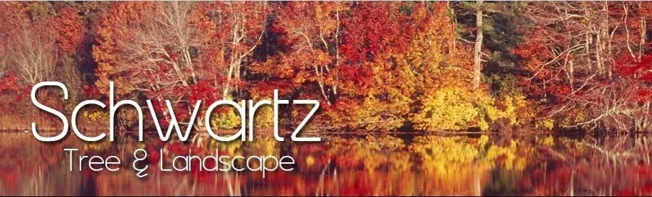 Expert outdoor landscaping in Coventry, RI by Schwartz Tree Care & Landscaping