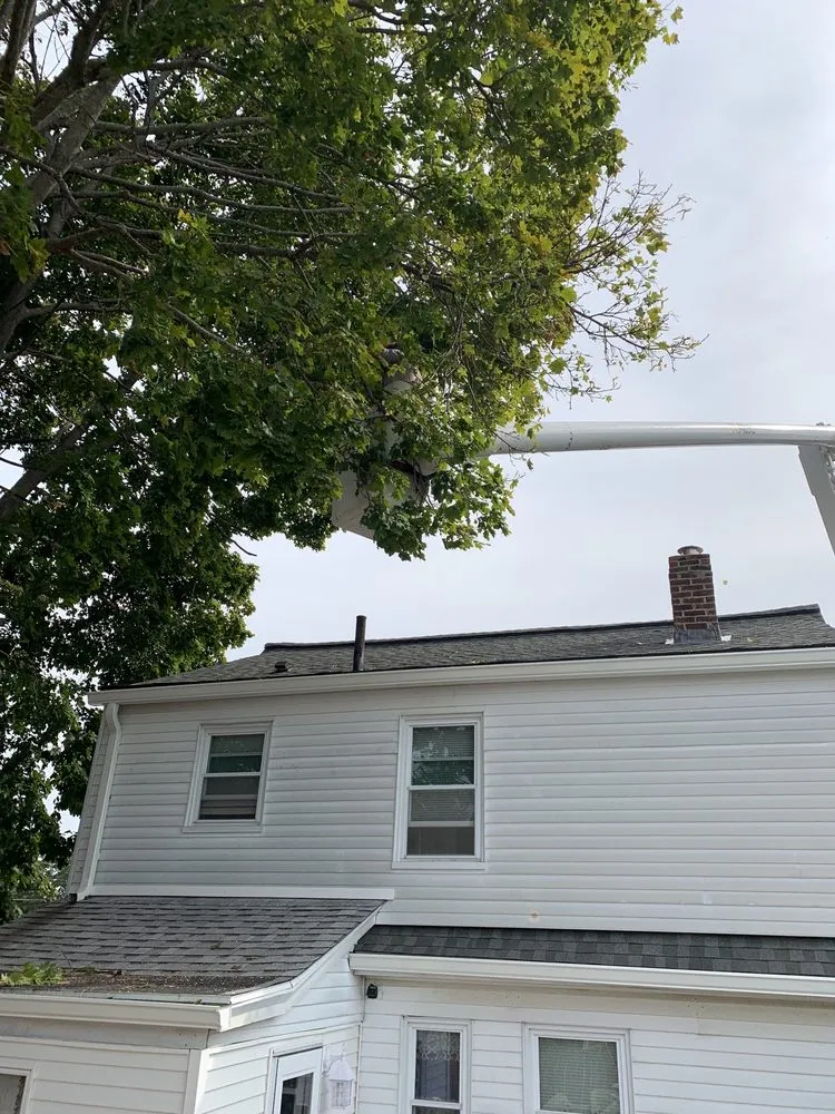 Local yard cleanup service for homes across Coventry, RI - Schwartz Tree Care & Landscaping