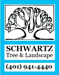 Affordable yard maintenance for year-round maintenance across Coventry, RI - Schwartz Tree Care & Landscaping