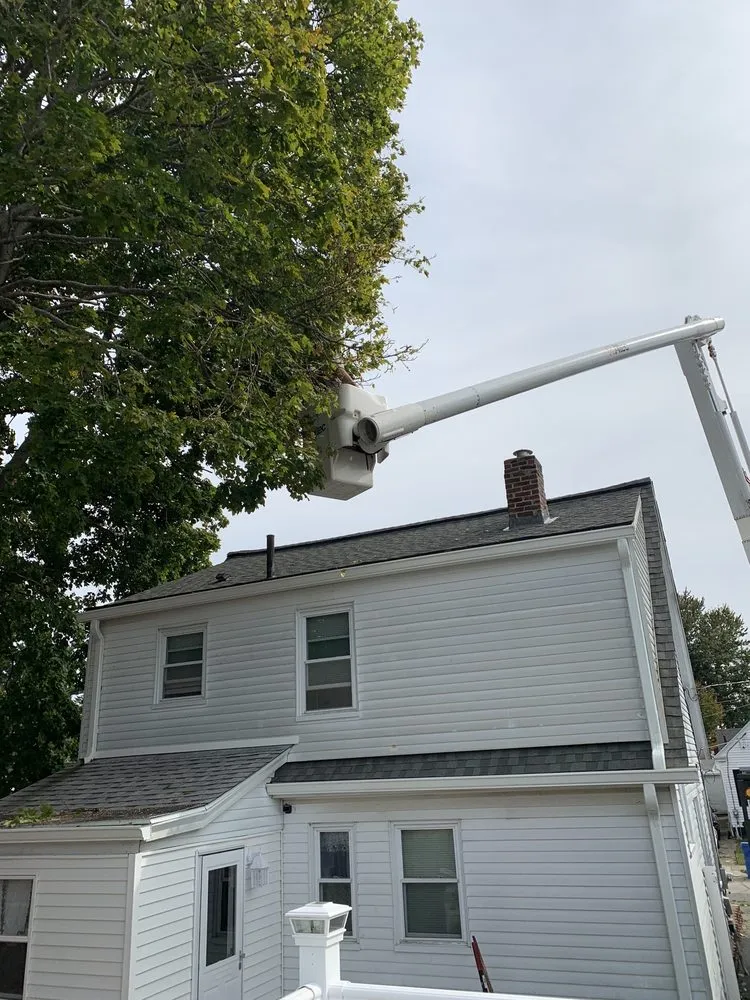 Custom yard cleanup service experts serving Coventry, RI - Schwartz Tree Care & Landscaping