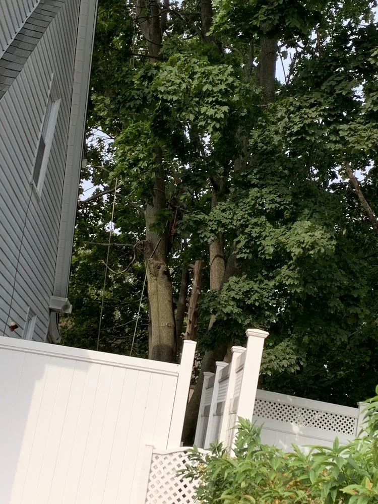 Top-rated yard cleanup service in Coventry, RI by Schwartz Tree Care & Landscaping