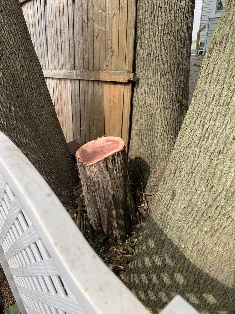 Professional lawn care service for outdoor upgrades across Coventry, RI - Schwartz Tree Care & Landscaping