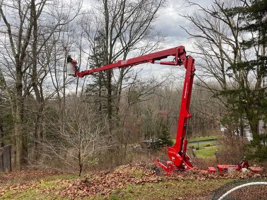 Schwartz Tree Care & Landscaping