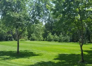 Reliable residential landscaping in Saint Joseph, MN - Schwegel's Landscaping & tree service