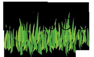 Custom landscape installation experts serving Vero Beach, FL - Schwey Services