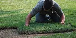 Top-rated landscaping services for year-round maintenance in Vero Beach, FL by Schwey Services