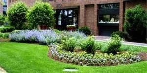 Expert lawn care service near you in Vero Beach, FL by Schwey Services