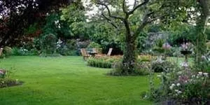 Trusted lawn mowing service experts serving Vero Beach, FL - Schwey Services