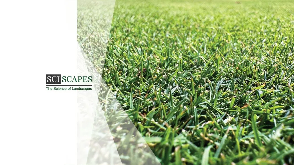 Local yard maintenance experts serving Provo, UT - Sci-Scapes