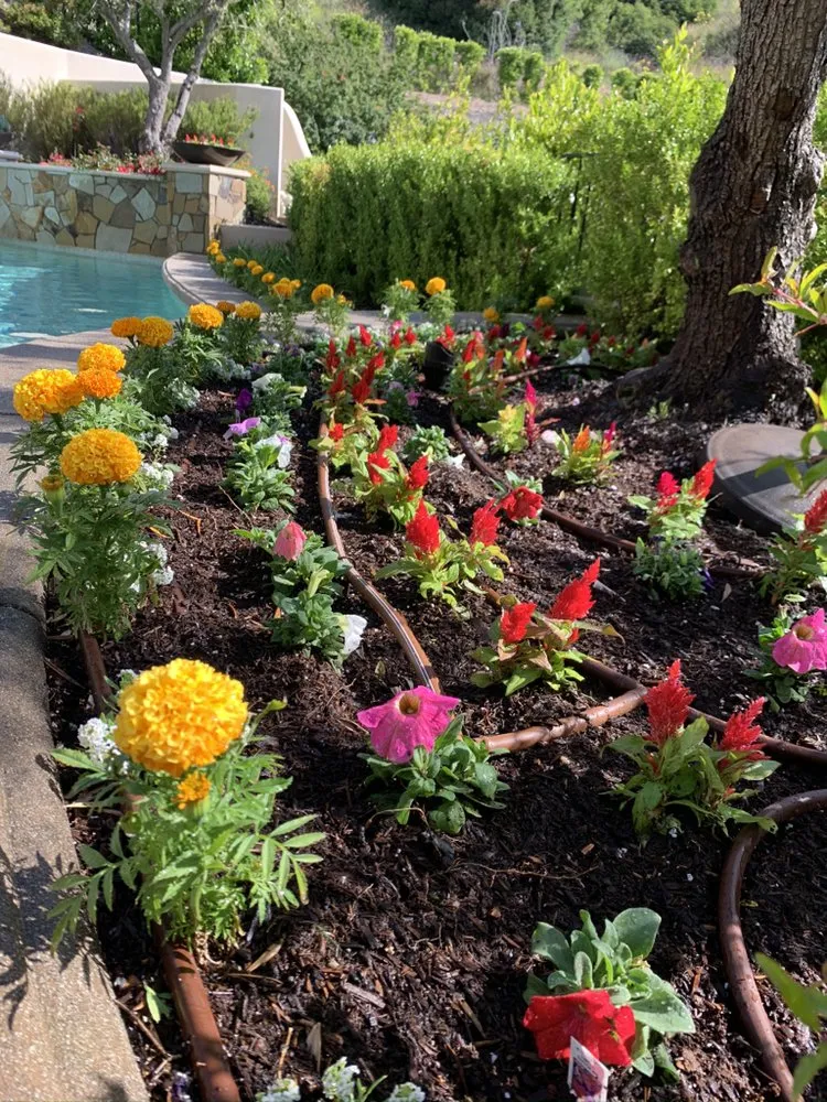 Professional landscape installation in Azusa, CA - ScienceScape Landscape Maintenance