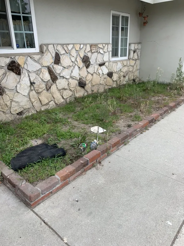 Reliable lawn mowing service for residential properties in Azusa, CA by ScienceScape Landscape Maintenance