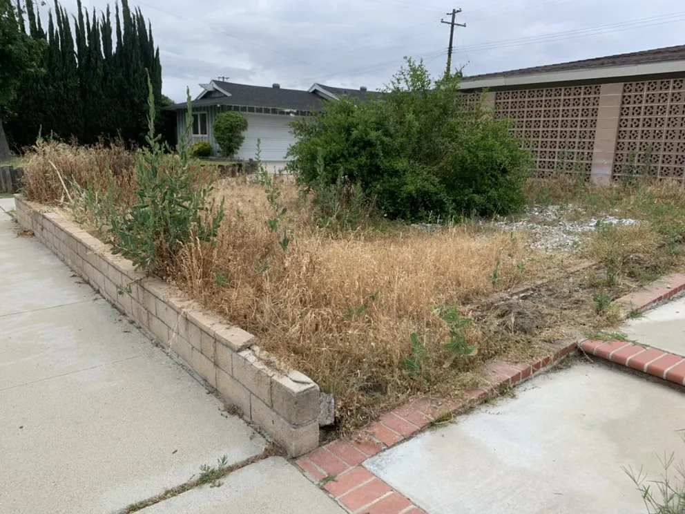 Expert garden landscaping for beautiful yards across Azusa, CA - ScienceScape Landscape Maintenance