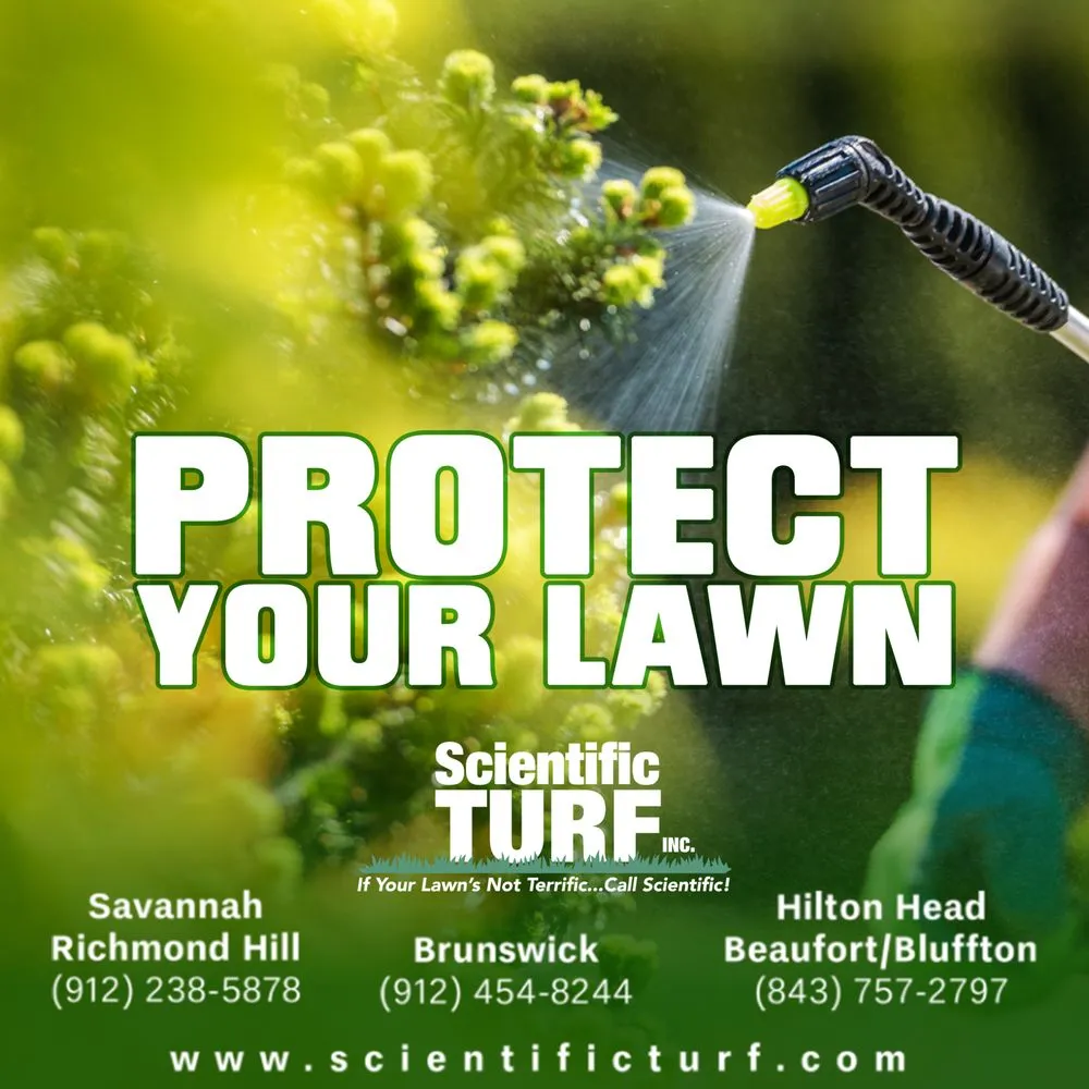 Top-rated yard cleanup service experts serving Savannah, GA - Scientific Turf