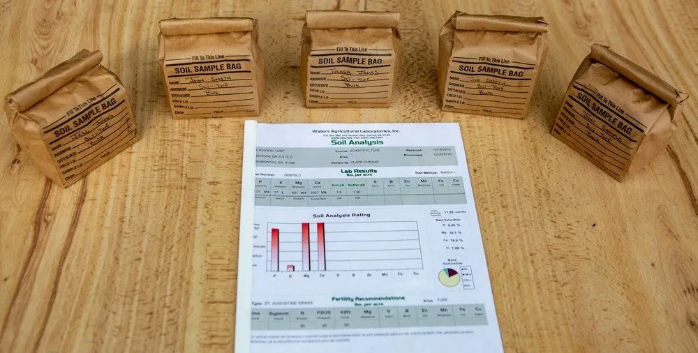 Local outdoor landscaping in Savannah, GA - Scientific Turf