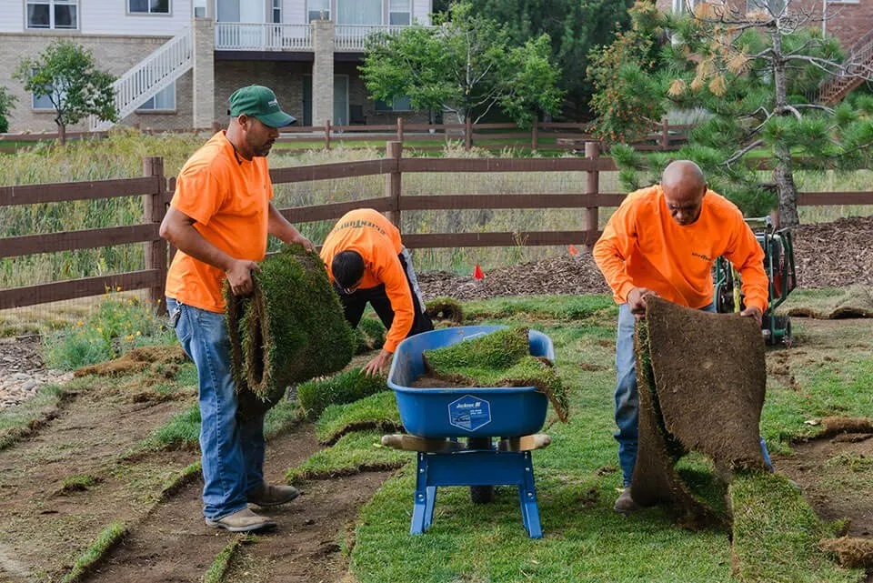 Professional outdoor landscaping in Broomfield, CO by ScienTurfic Sod