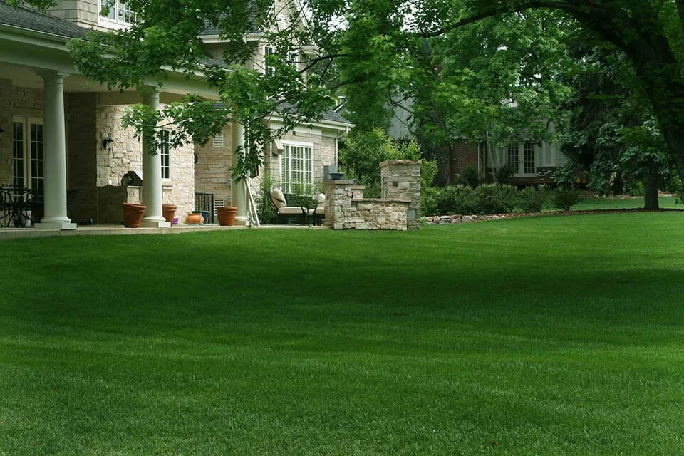 Custom lawn mowing service in Centennial, CO - ScienTurfic Sod