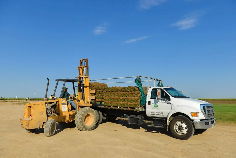 Trusted yard cleanup service in Commerce City, CO by ScienTurfic Sod