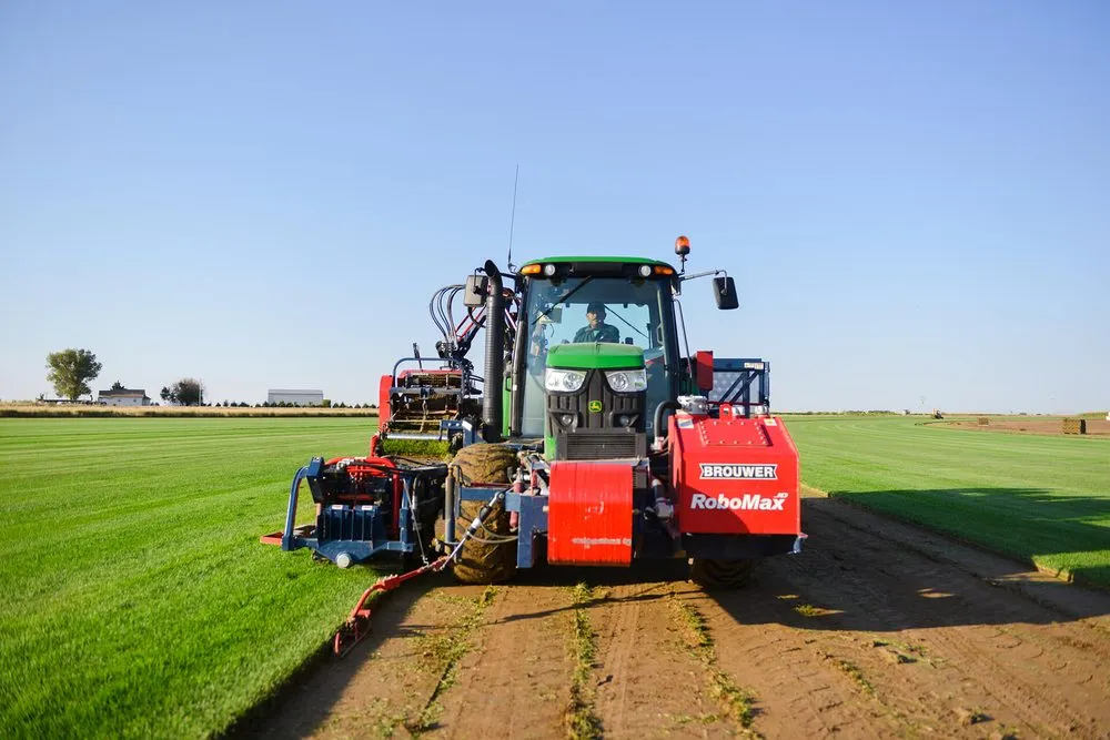 Affordable lawn mowing service in Commerce City, CO - ScienTurfic Sod