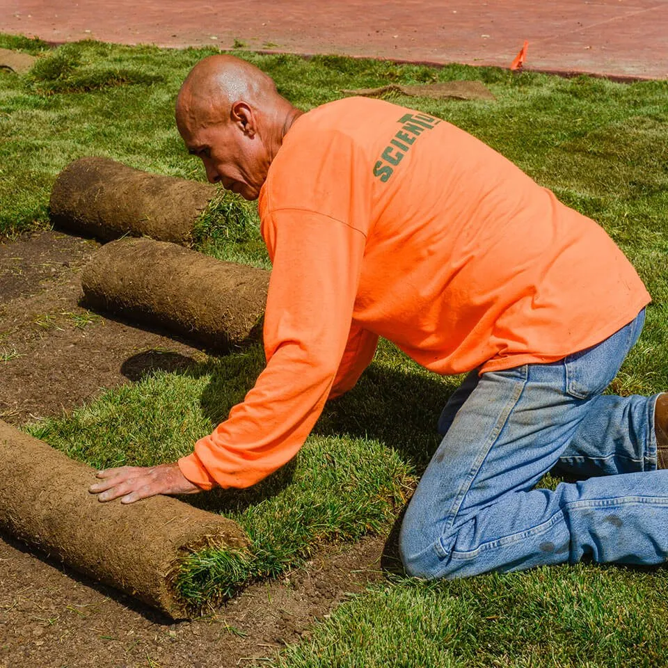 Expert landscape design in Commerce City, CO - ScienTurfic Sod