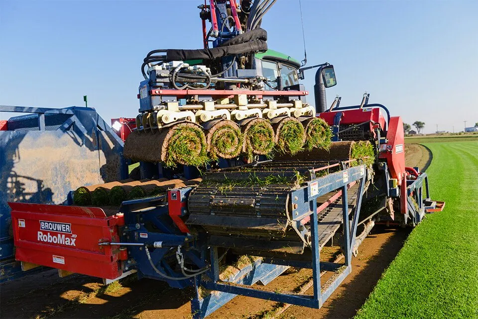 Local yard cleanup service in Commerce City, CO - ScienTurfic Sod