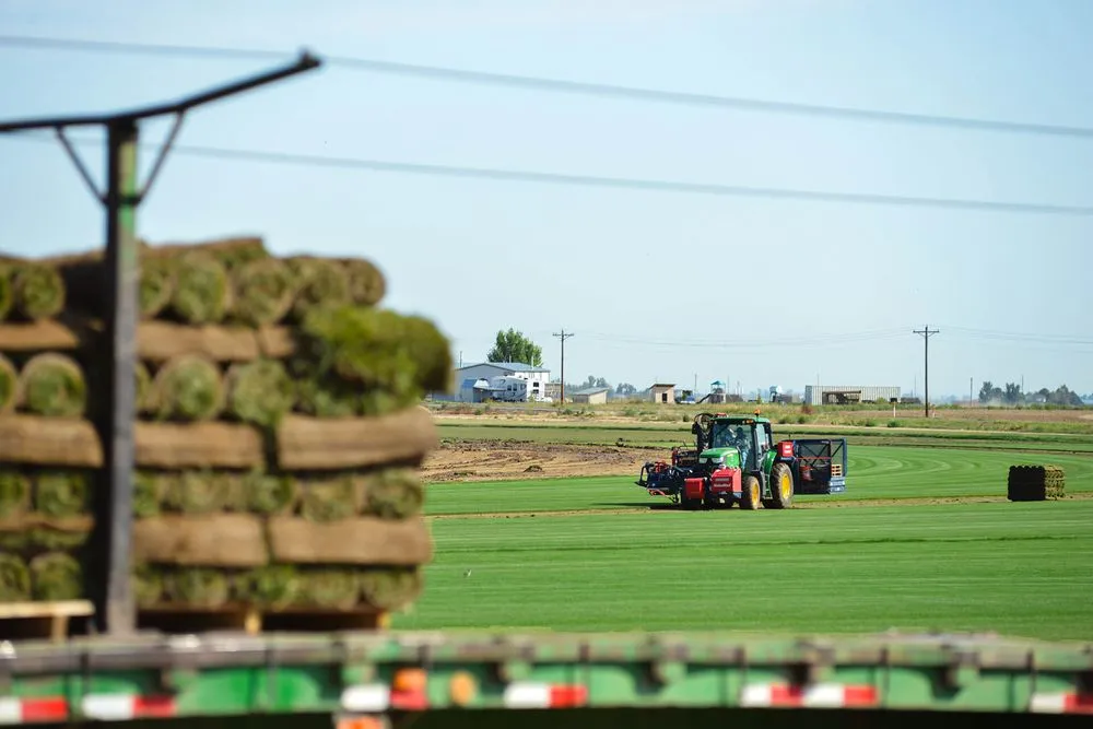 Expert lawn mowing service in Commerce City, CO by ScienTurfic Sod