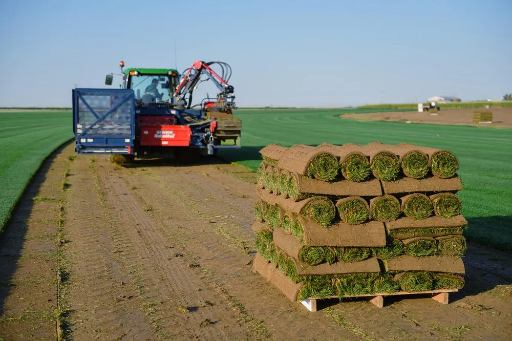 Custom residential landscaping experts serving Commerce City, CO - ScienTurfic Sod