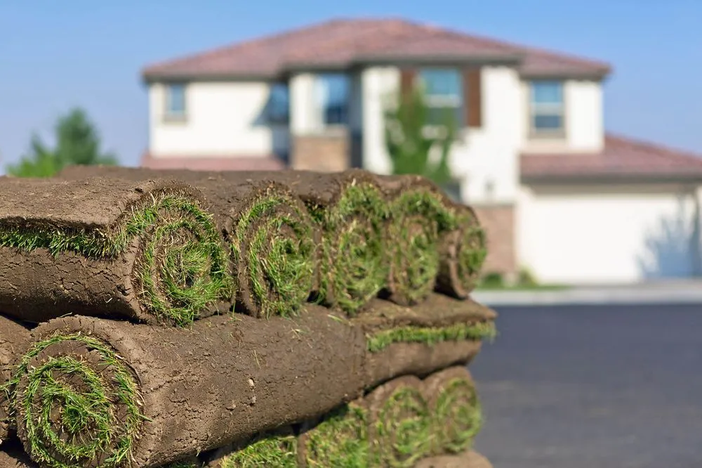 Professional landscape installation in Commerce City, CO - ScienTurfic Sod