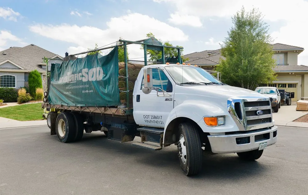 Top-rated yard cleanup service for year-round maintenance in Commerce City, CO by ScienTurfic Sod