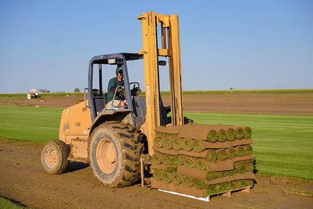 Trusted landscape installation in Commerce City, CO - ScienTurfic Sod