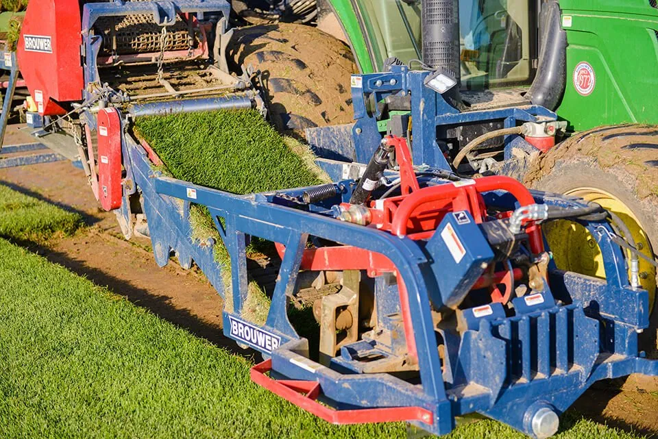 Affordable residential landscaping for homes in Commerce City, CO by ScienTurfic Sod