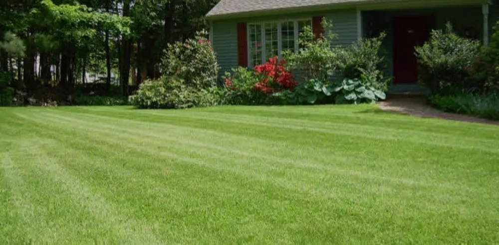 Trusted outdoor landscaping experts serving Whitwell, TN - Scissom's Outdoor Services