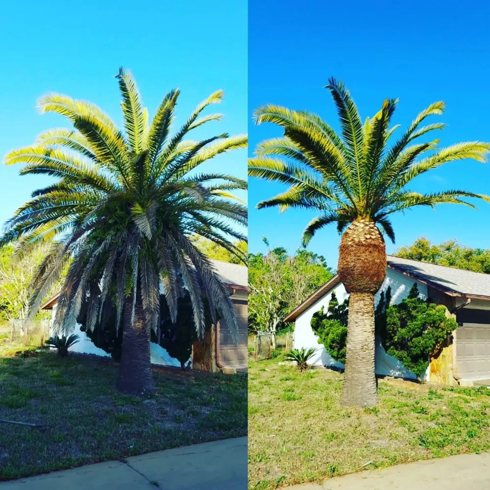 Expert outdoor landscaping with custom design in Zephyrhills, FL by Scissorhands Lawn Service