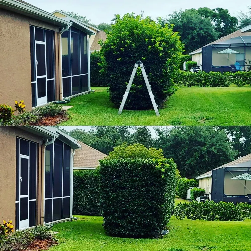 Top-rated residential landscaping in Zephyrhills, FL - Scissorhands Lawn Service