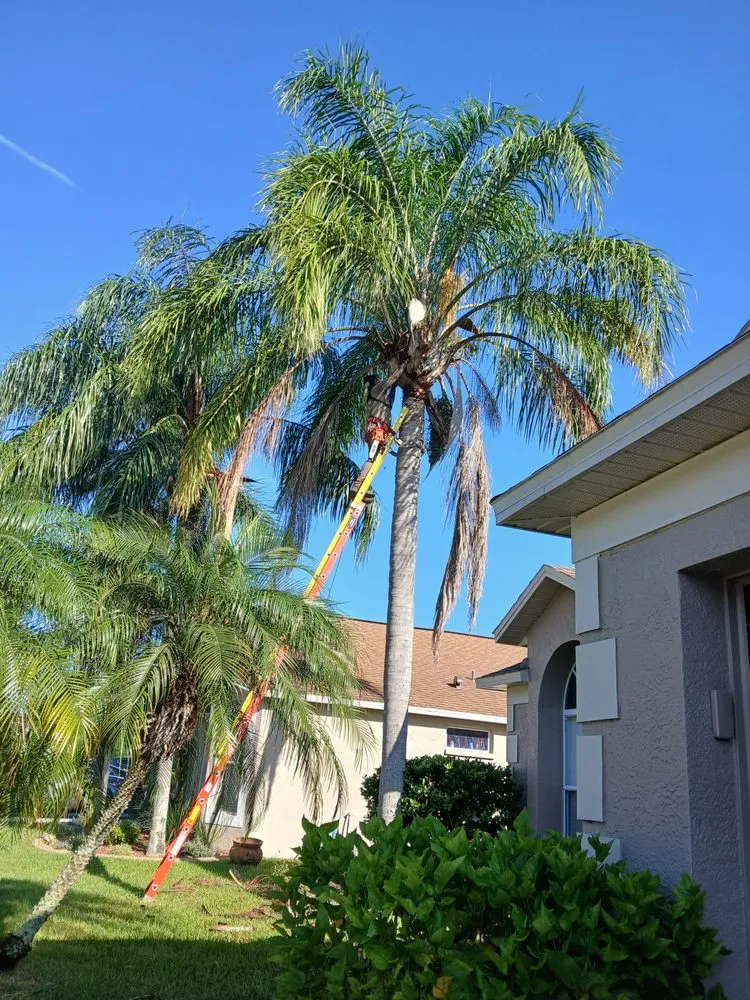 Reliable yard maintenance with custom design in Zephyrhills, FL by Scissorhands Lawn Service