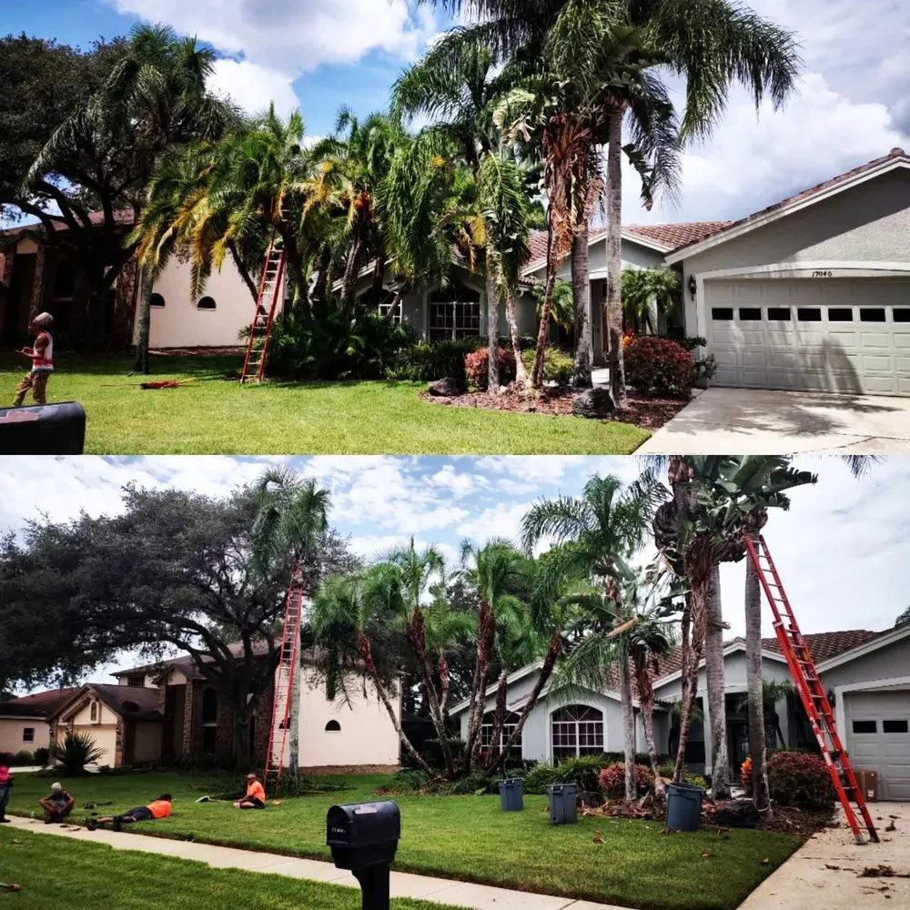 Trusted residential landscaping for year-round maintenance in Zephyrhills, FL by Scissorhands Lawn Service