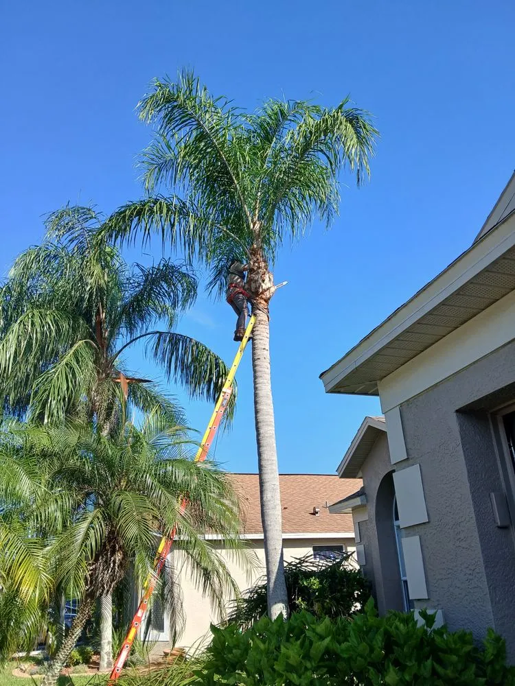 Reliable landscape installation for homes across Zephyrhills, FL - Scissorhands Lawn Service