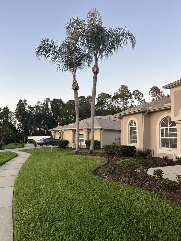 Custom lawn care service experts serving Zephyrhills, FL - Scissorhands Lawn Service