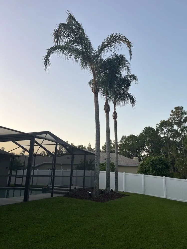 Local landscaping services experts serving Zephyrhills, FL - Scissorhands Lawn Service