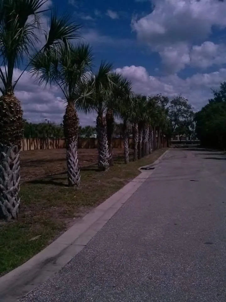 Professional lawn care service in Zephyrhills, FL by Scissorhands Lawn Service