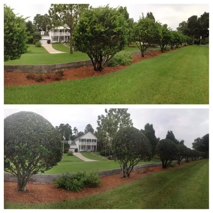 Trusted outdoor landscaping for outdoor upgrades in Zephyrhills, FL by Scissorhands Lawn Service