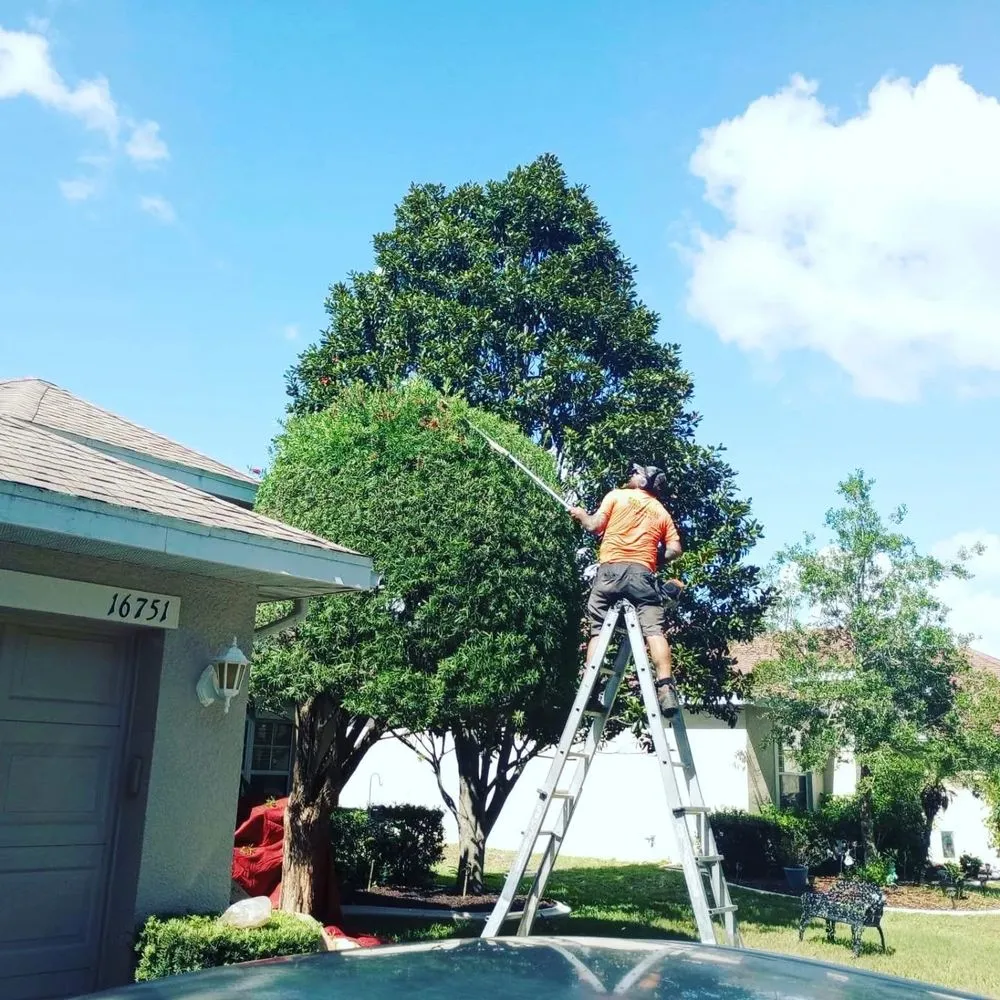 Expert landscape installation for beautiful yards across Zephyrhills, FL - Scissorhands Lawn Service