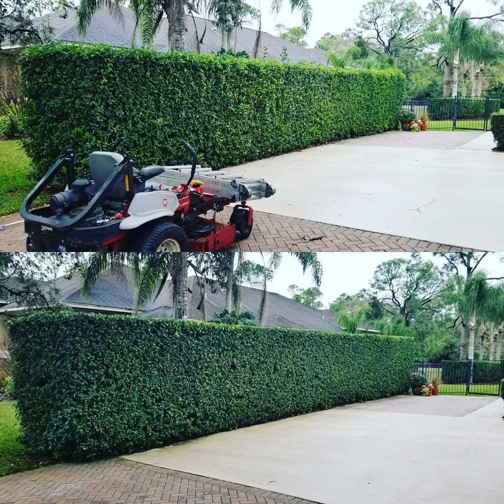Top-rated yard cleanup service in Zephyrhills, FL - Scissorhands Lawn Service