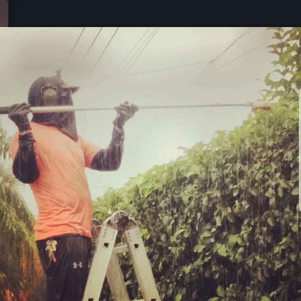 Trusted yard maintenance for residential properties across Zephyrhills, FL - Scissorhands Lawn Service