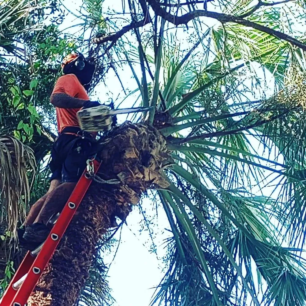 Custom landscape installation for year-round maintenance across Zephyrhills, FL - Scissorhands Lawn Service
