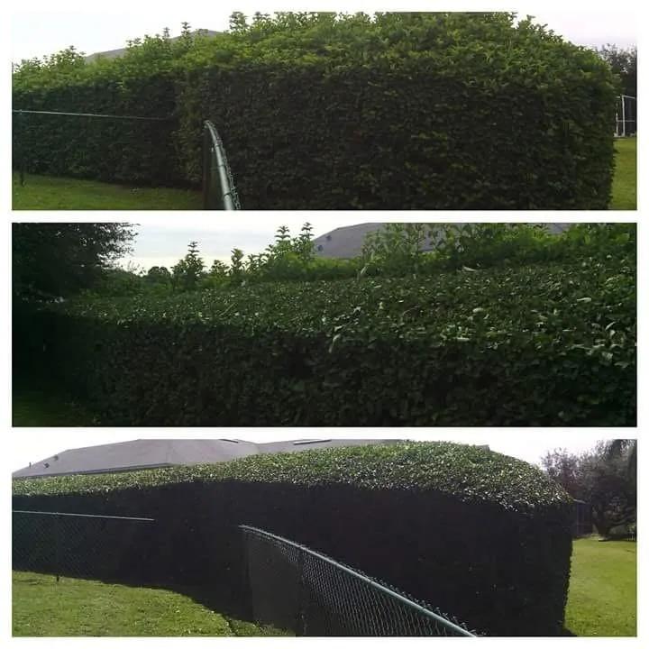 Professional residential landscaping with custom design in Zephyrhills, FL by Scissorhands Lawn Service