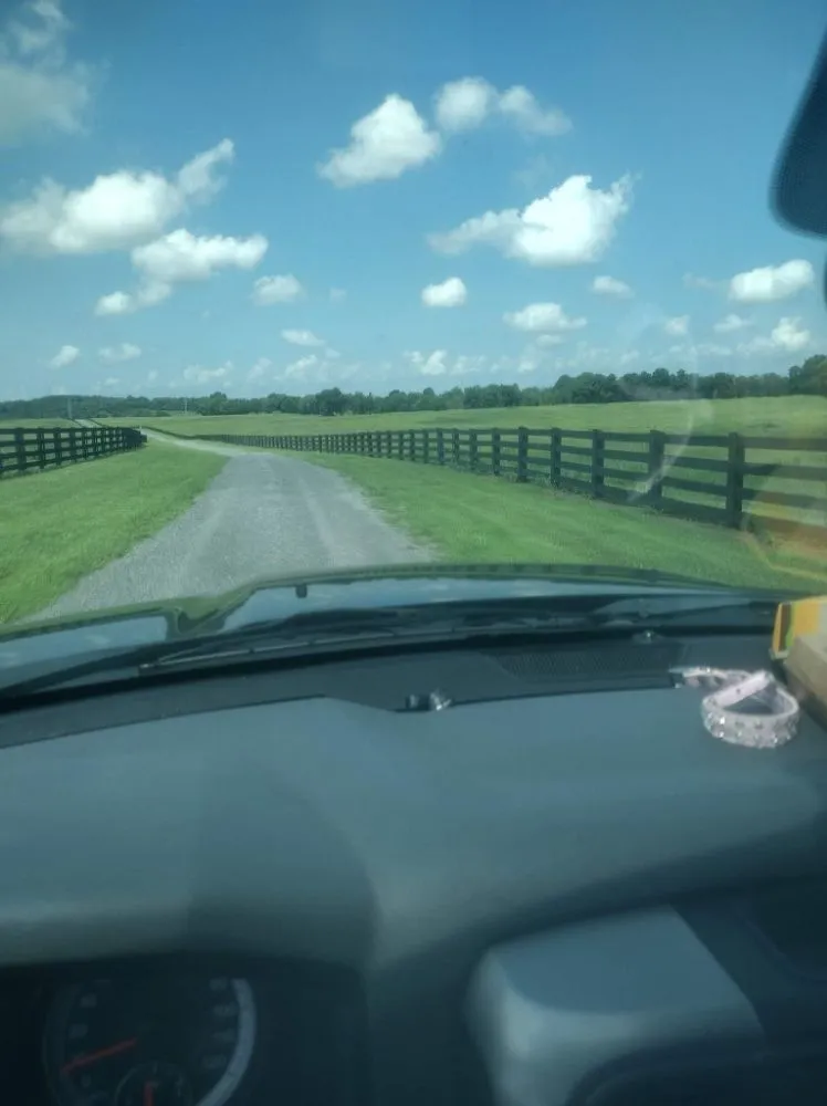 Professional outdoor landscaping for outdoor upgrades across LaFayette, GA - S.C.O. Repairman